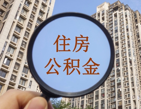 保亭退休后查不到公积金明细了吗（退休后公积金查询不到原因）